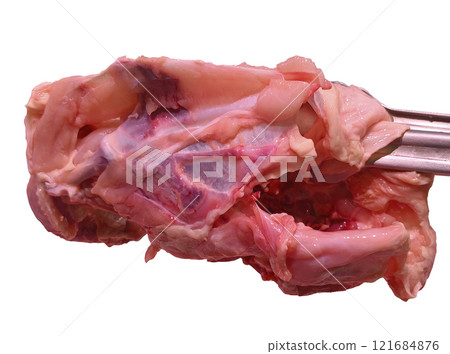 chicken carcass handle by food tong chicken carcass handle by food tong 121684876