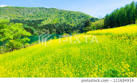 春天Huronong湖 121684914