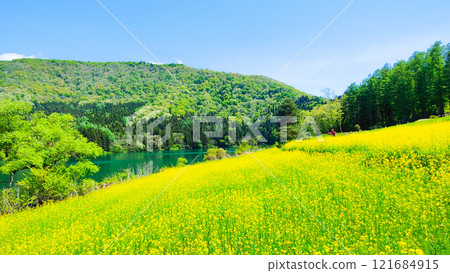 Spring Huronong Lake Spring Huronong Lake 121684915