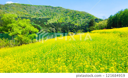 Spring Huronong Lake 121684919