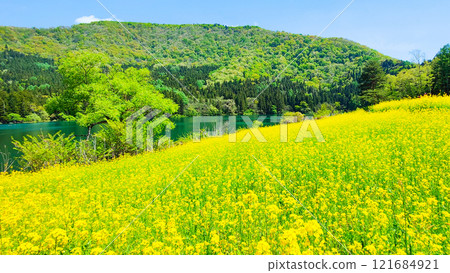 Spring Huronong Lake Spring Huronong Lake 121684921