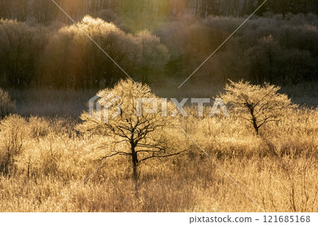 hiro路冬天的景色 121685168