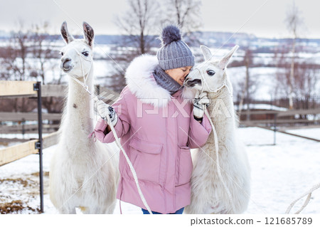 A beautiful girl in a fur coat stands with an alpaca in a snowy forest 121685789