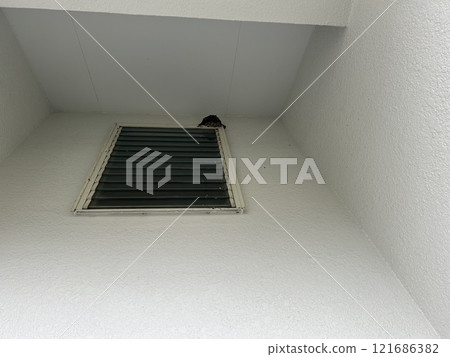 這是建在房屋門口屋簷下的鳥巢。 這是建在房屋門口屋簷下的鳥巢。 121686382