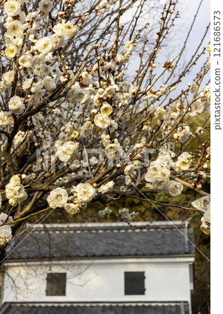 倉庫與白梅初春風光-2 121686573