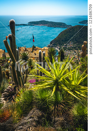 View with big beautiful cactuses from the botanical garden, Eze View with big beautiful cactuses from the botanical garden, Eze 121686709