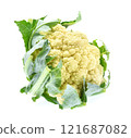Cauliflower isolated on white background 121687082