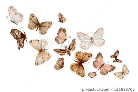 Butterflies Monarch and other flying on white background. Set of delicate cute beige brown butterflies. Hand drawn watercolor illustration on isolated white background. Template for print or frame. 121688702