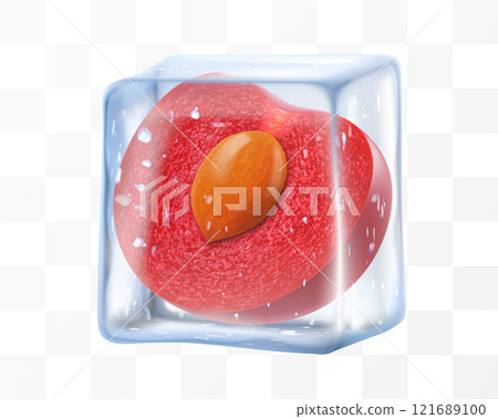 Fresh ripe cherry in ice cube isolated on transparent background. Frozen tasty juicy cherry, realistic 3d vector illustration. Bright summer refreshing design Fresh ripe cherry in ice cube isolated on transparent background. Frozen tasty juicy cherry, realistic 3d vector illustration. Bright summer refreshing design 121689100