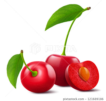 Ripe cherries with leaves isolated on a white background. Whole red cherry and half cherry with pit, realistic 3d vector illustration. Ripe of berries, glistening with vibrant hues. Ripe cherries with leaves isolated on a white background. Whole red cherry and half cherry with pit, realistic 3d vector illustration. Ripe of berries, glistening with vibrant hues. 121689186