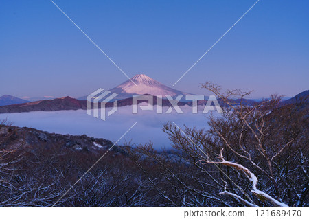 【神奈川縣】從白雪皚皚的箱根到黎明前的蘆之湖雲海和富士山 121689470