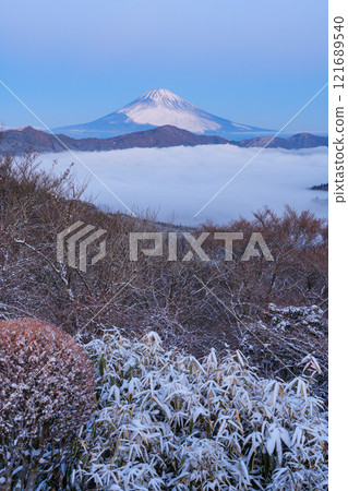 [Kanagawa Prefecture] Snowfall in Hakone, the sea of clouds over Lake Ashi and Mt. Fuji at dawn 121689540