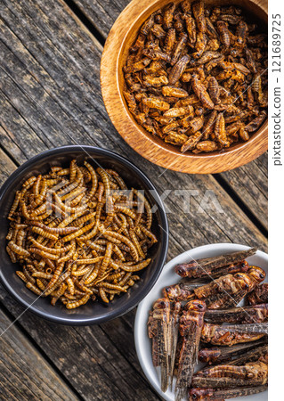 Dried salted insect. Mealworms, grasshoppers and crickets in bowl on wooden table. Top view. 121689725