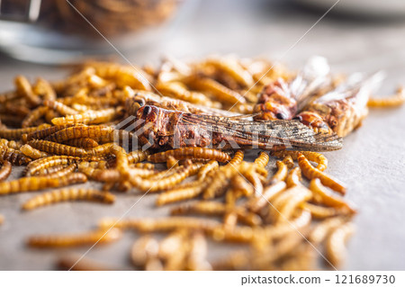 Dried salted insect. Roasted grasshoppers and meal worms on kitchen table. Dried salted insect. Roasted grasshoppers and meal worms on kitchen table. 121689730