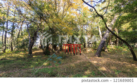 Autumn at Numazu Imperial Villa Memorial Park Autumn at Numazu Imperial Villa Memorial Park 121689801