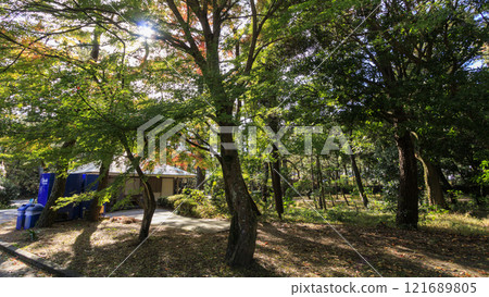 Autumn at Numazu Imperial Villa Memorial Park 121689805