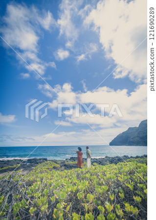An elderly couple standing at a power spot on the east coast of Hawaii, gazing at the ocean 121690289