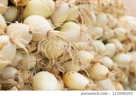 Washed farm heads of onions Washed farm heads of onions 121690293