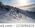 Winter trees on a snowy slope 121690428