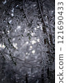 Snow falling in the winter forest 121690433
