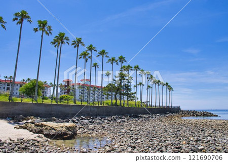 [Kanagawa Prefecture] Wakaejima and Zushi Marina at low tide 121690706