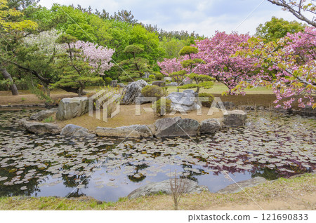 Aomori, Tsugaru, Takayama Inari Shrine's lotus pond 121690833