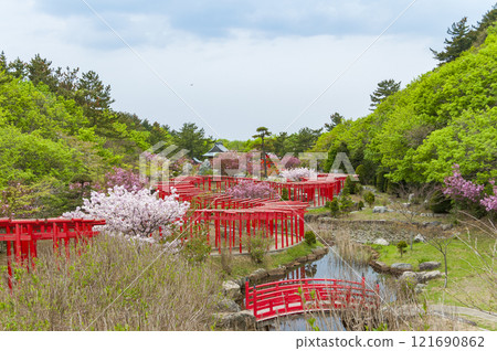 Aomori, Tsugaru, Takayama Inari Shrine's Thousand Torii Gates 121690862