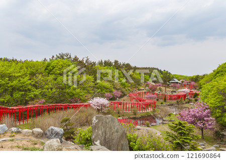 Aomori, Tsugaru, Takayama Inari Shrine's Thousand Torii Gates 121690864