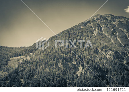 Wonderful wooded mountain and alpine panorama in Carinthia Austria. 121691721