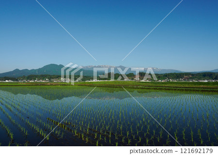 稻田反射 121692179