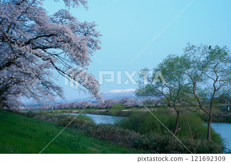 Hitome Senbonzakura before sunrise Hitome Senbonzakura before sunrise 121692309