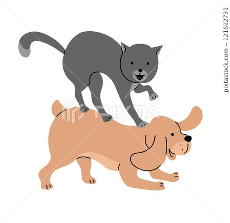 A cat and a dog are playing and fighting A cat and a dog are playing and fighting 121692731