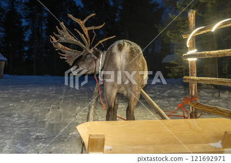 Sami reindeer farm in LApland Finland 121692971
