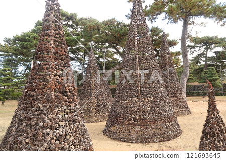 A pine cone tree created at the site of the Ninomaru enclosure of Takamatsu Castle 121693645