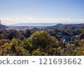 View of Kamakura cityscape from Tenen hiking trail 121693662