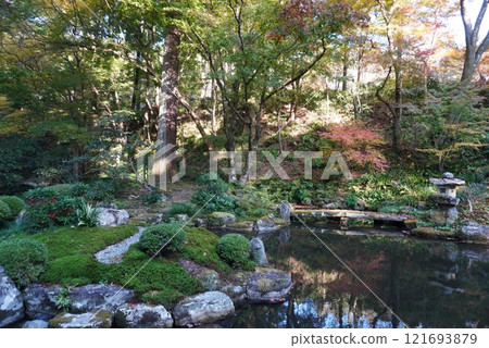Landscape with autumn leaves 121693879