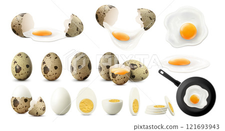 Set of whole, half, sliced and broken spotted quail eggs. Raw, fried and boiled eggs, isolated on white background. Crack eggs with yolks. Fried eggs on frying pan. Realistic 3d vector. 121693943