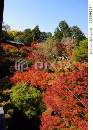 被秋葉包圍 121694184