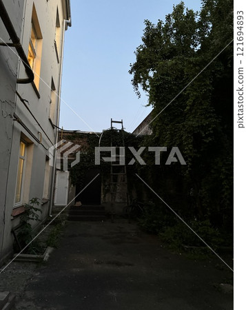 Rustic Backyard Scene with Ivy-Covered Walls at Dusk Rustic Backyard Scene with Ivy-Covered Walls at Dusk 121694893