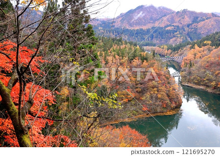 只見線「11月中旬的只見川第一橋」眺望紅葉 121695270