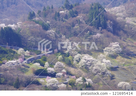 春天的安曇野和陸鄉櫻仙峽 春天的安曇野和陸鄉櫻仙峽 121695414