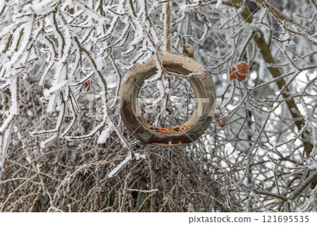 Winter background. Handmade ceramic bird feeder with bird food. Frost on tree branches in winter garden. Winter in Central Europe. nature care concept 121695535
