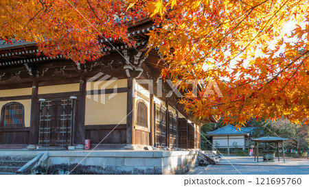 Golden Sunlight Bathes Ancient Temple in Kyoto. 121695760