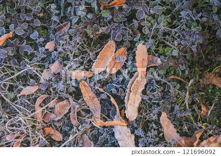 寒冷的早晨【長野縣】 121696092