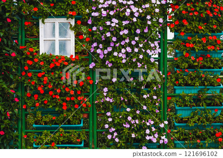 Vertical flowerbed of red catharanthus flowers in flower pots Vertical flowerbed of red catharanthus flowers in flower pots 121696102
