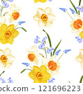 A seamless vector illustration showcasing yellow and white daffodils with orange centers, blue wild peas, and grape hyacinths on a white background. 121696223