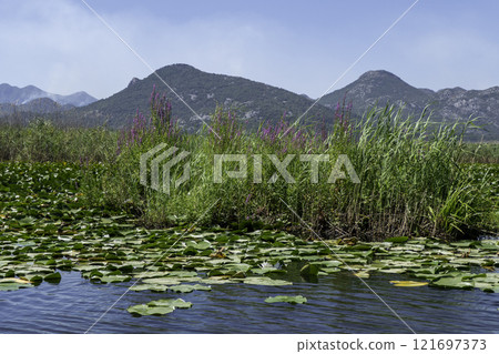 Montenegro, Skadar Lake National Park and its nature reserve. Montenegro, Skadar Lake National Park and its nature reserve. 121697373