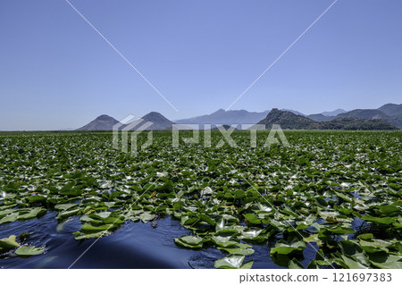 Montenegro, Skadar Lake National Park and its nature reserve. Montenegro, Skadar Lake National Park and its nature reserve. 121697383