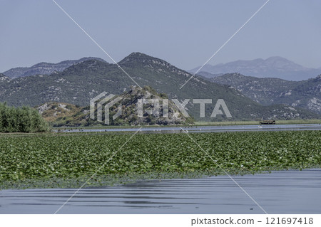 Montenegro, Skadar Lake National Park and its nature reserve. 121697418