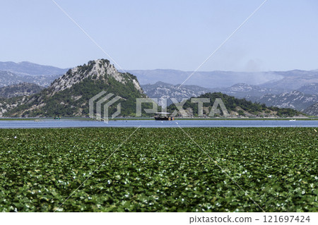 Montenegro, Skadar Lake National Park and its nature reserve. Montenegro, Skadar Lake National Park and its nature reserve. 121697424